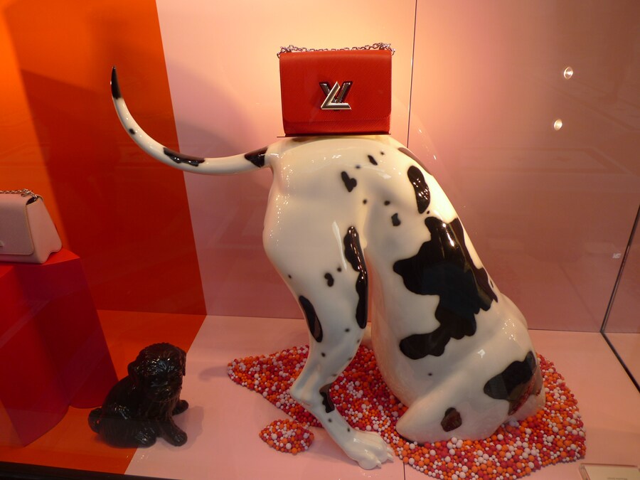 Louis Vuitton 사진
