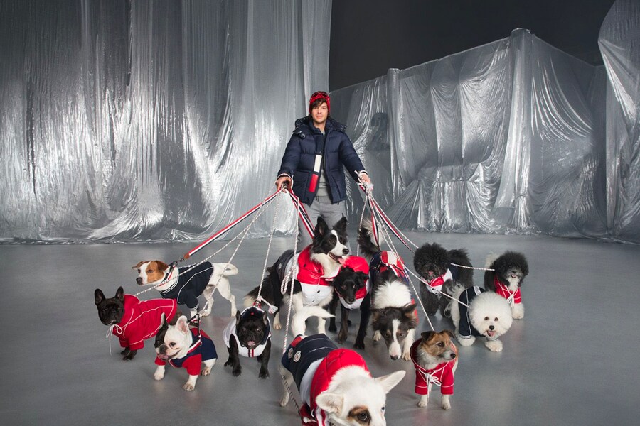 Moncler Dog