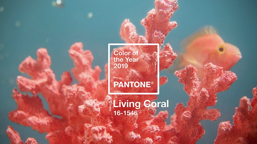 올해의 색(Color of the Year)