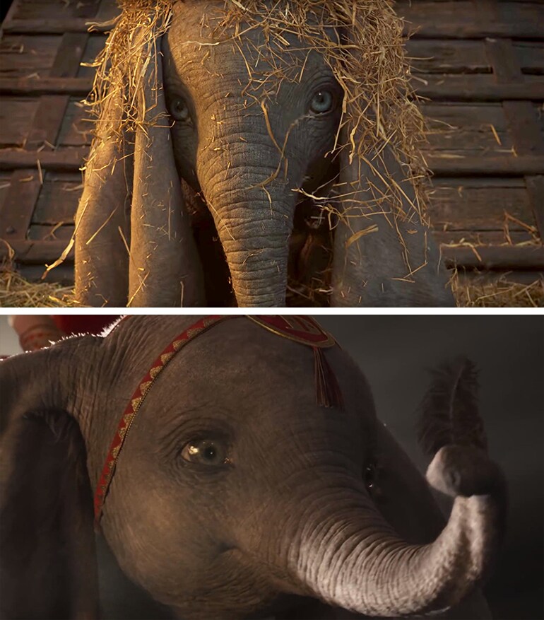 <덤보>