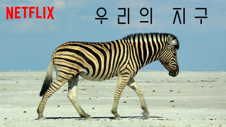 우리의 지구