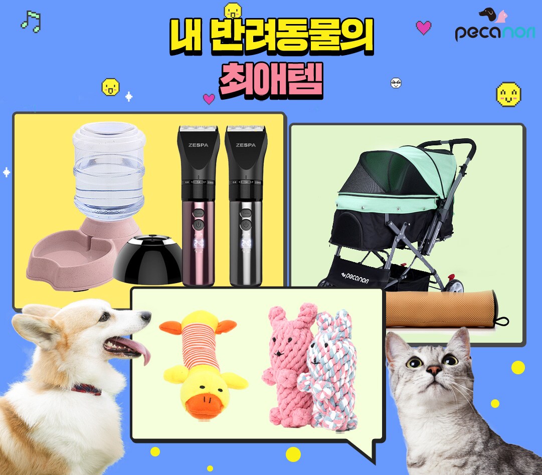 피카노리