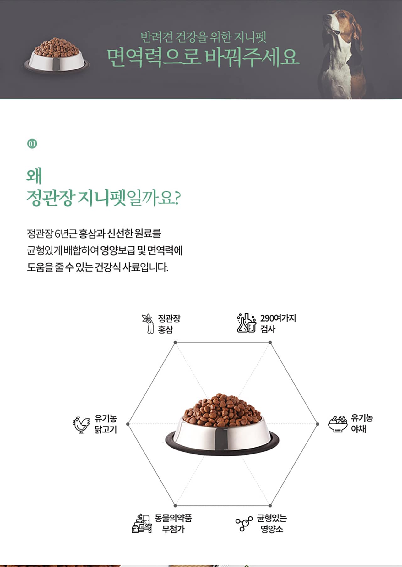반려견 건강을 위한 지니펫 면역력으로 바꿔주세요