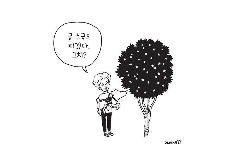 노견일기