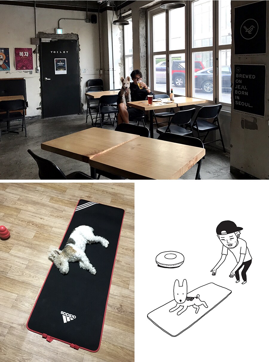 노견일기 풋코와 정우열님