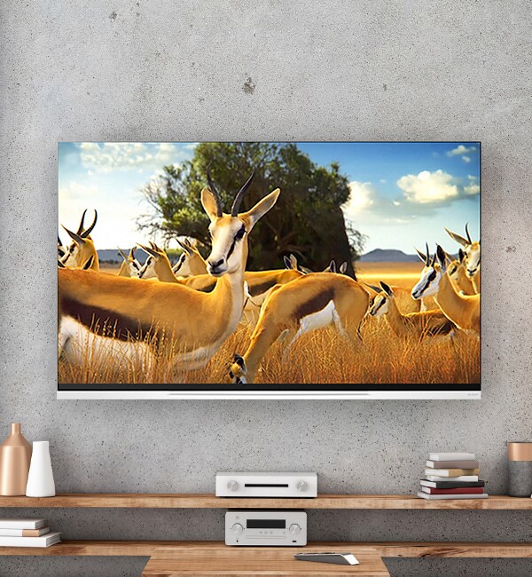 0930 엘지올레드