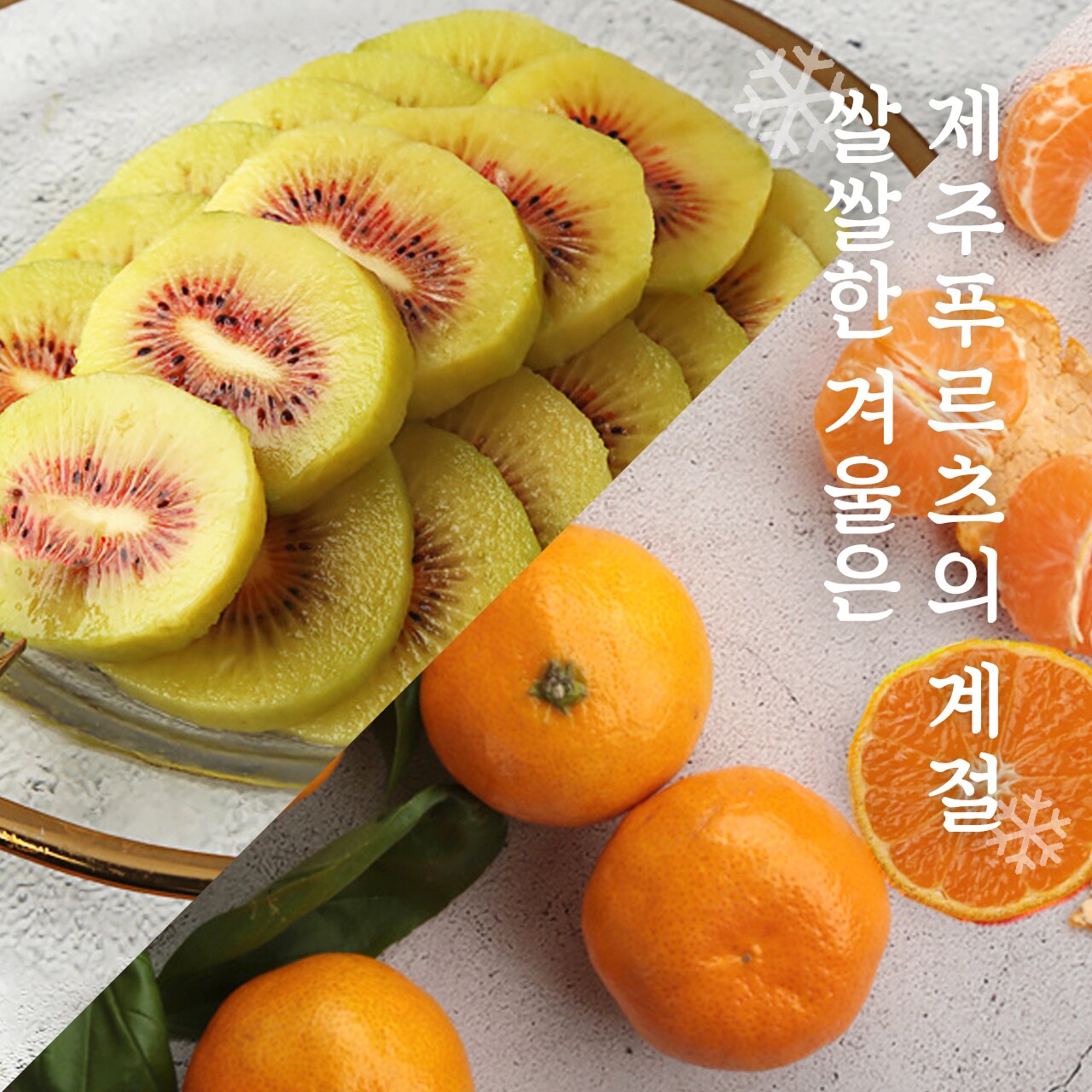 노지감귤 기획전