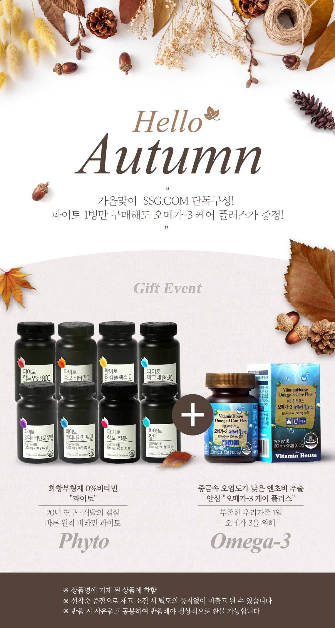 파이토 기획전