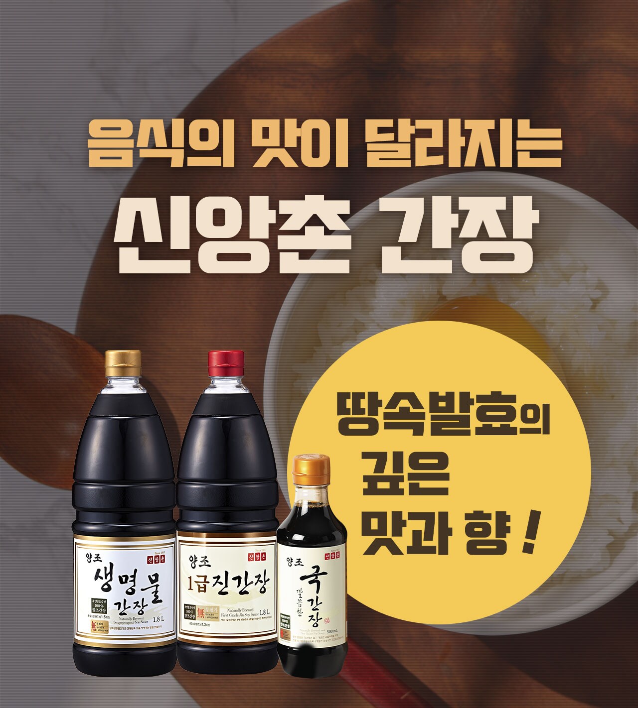일반상시기획전