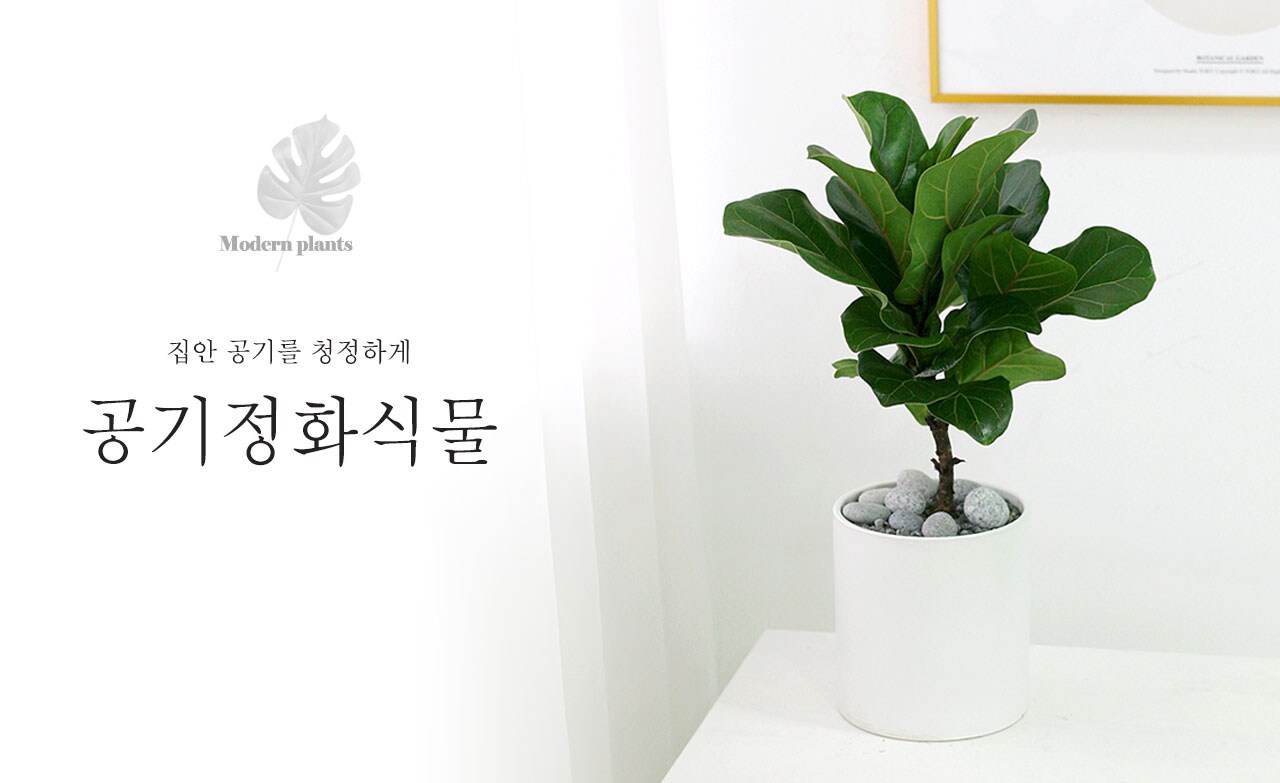 기획전페이지