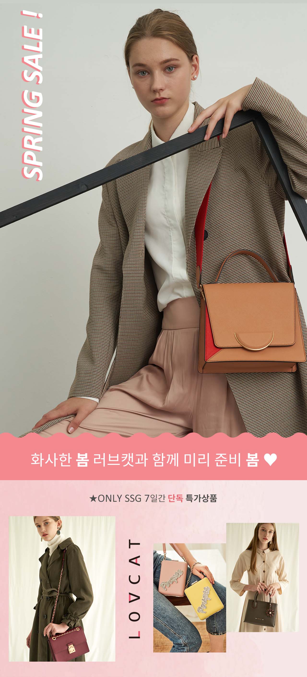 화사한 봄 러브캣과 함께해 봄