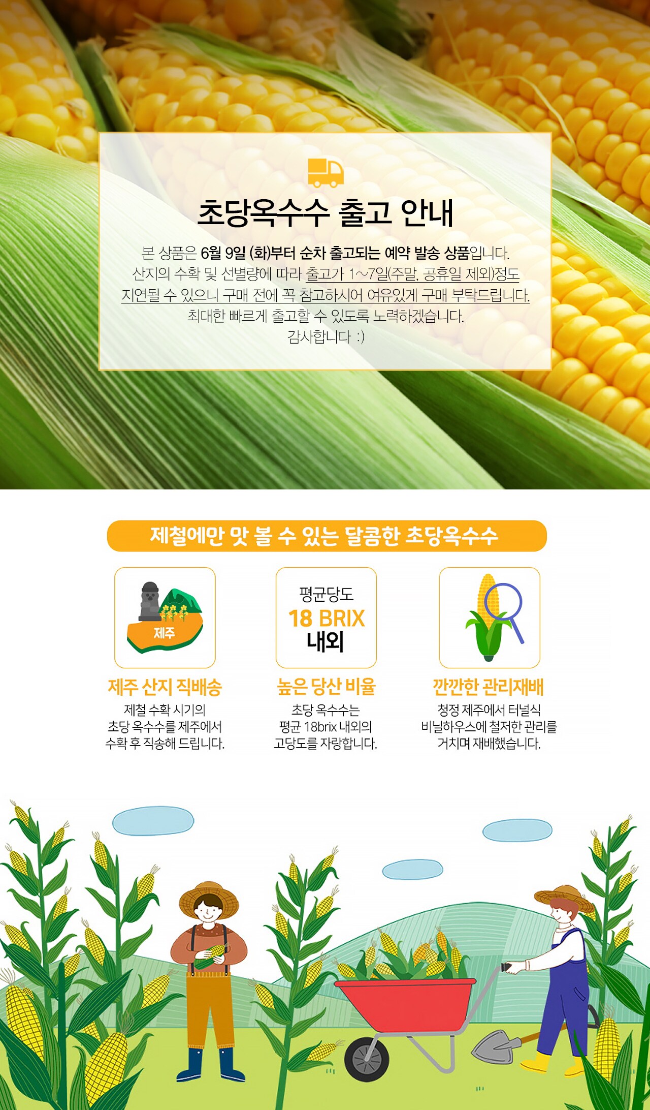 제주파머스마켓