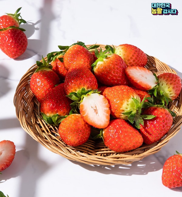 0219 농림식품부 행사