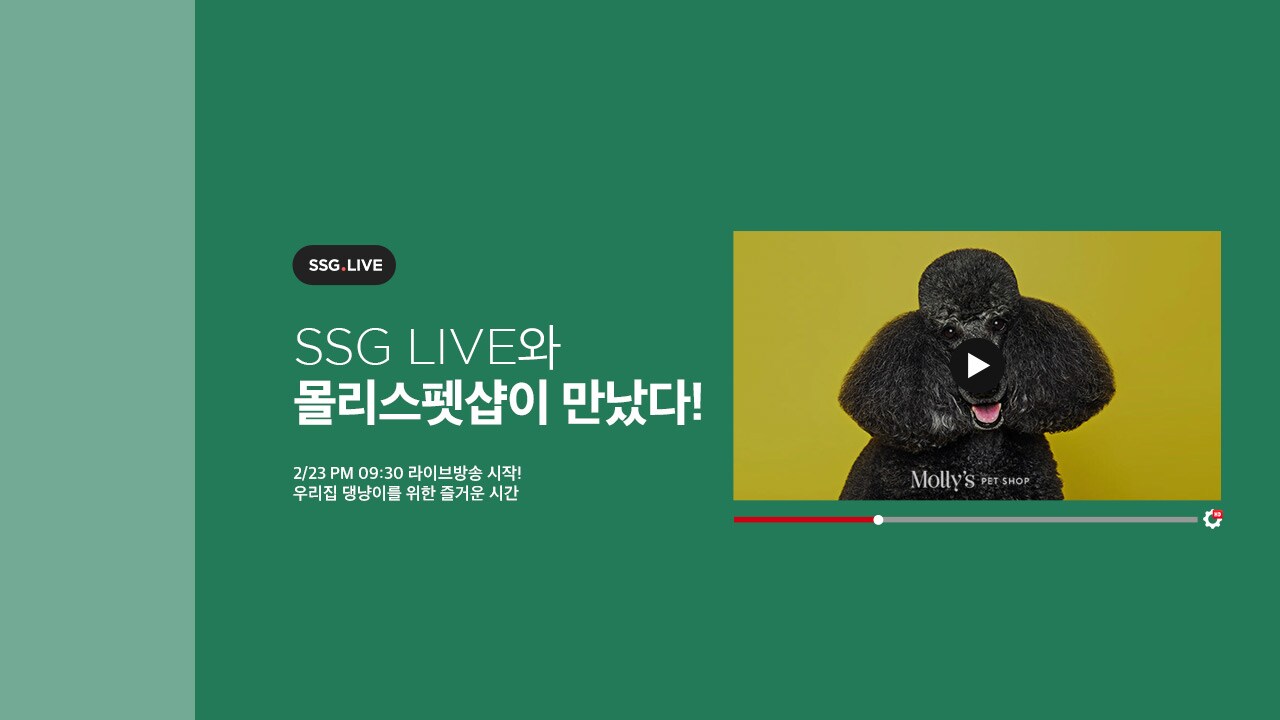 2/20~2/24 몰리스라이브